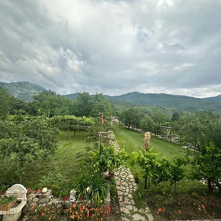 Vila Disha 地拉那 外观 照片