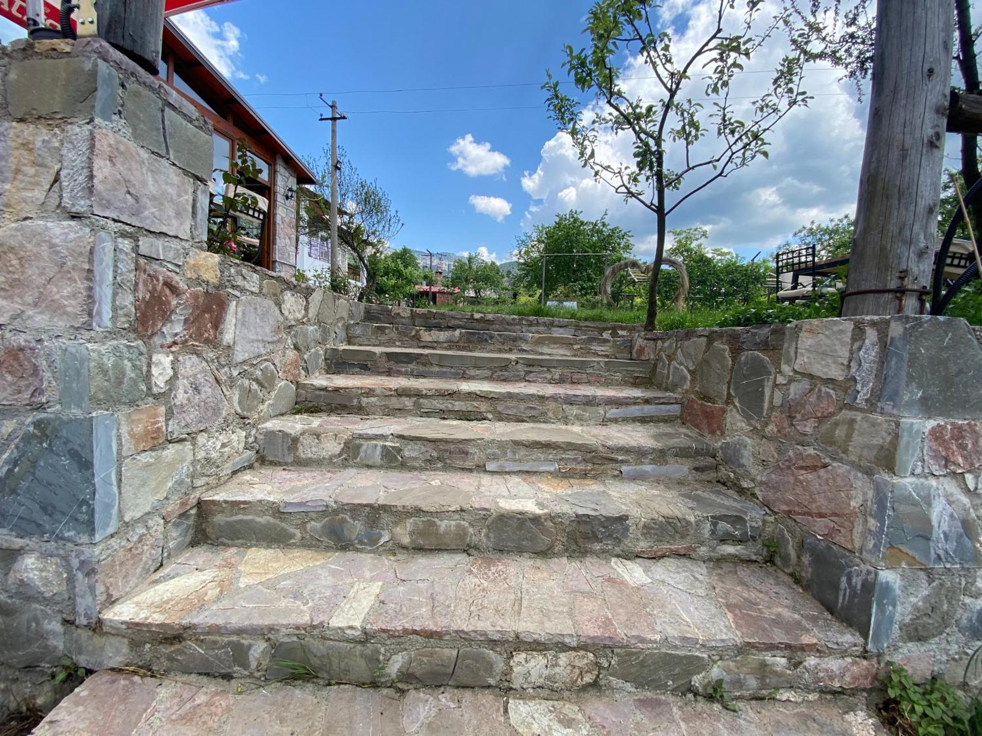 Vila Disha 地拉那 外观 照片
