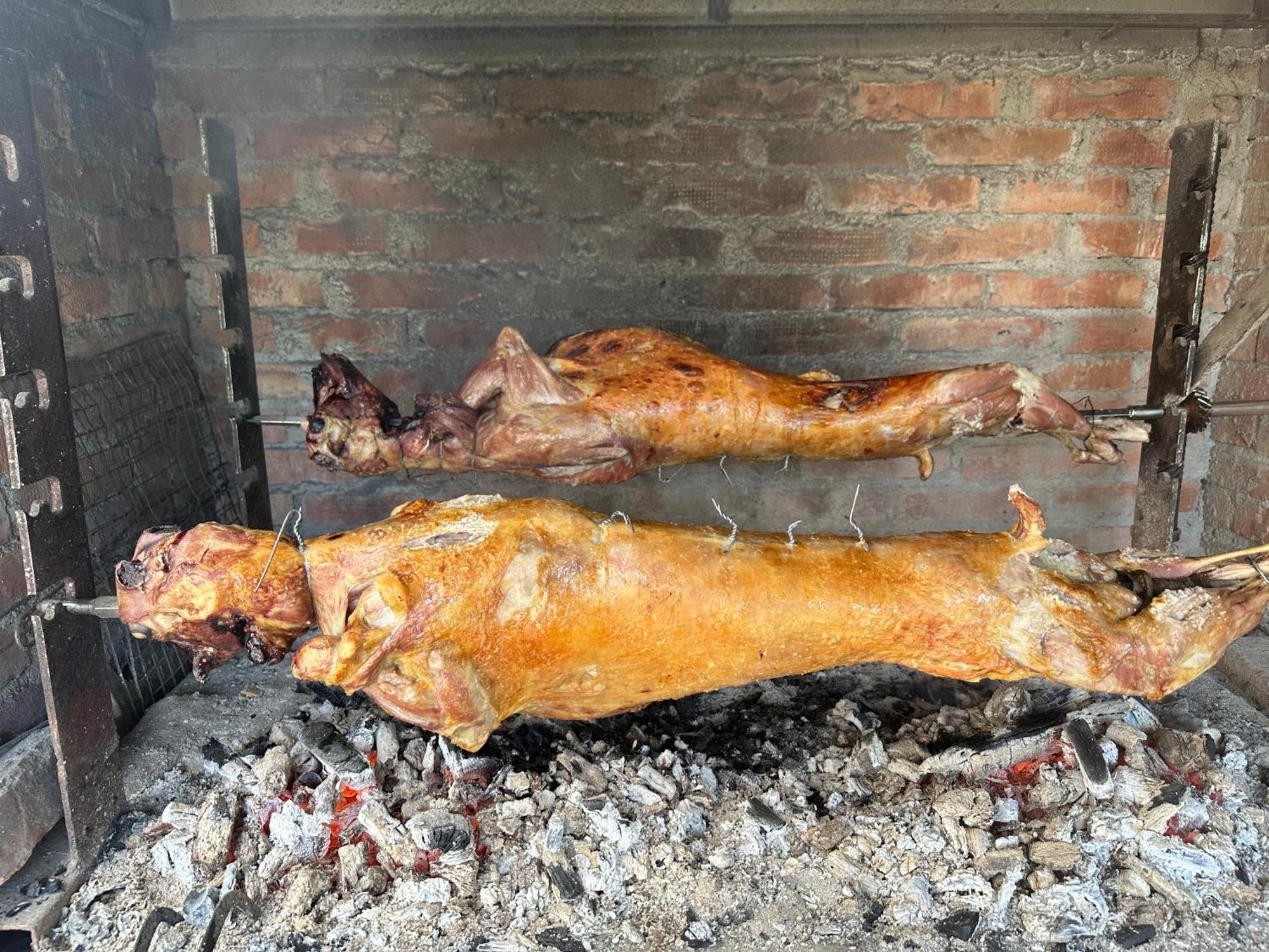 Vila Disha 地拉那 外观 照片