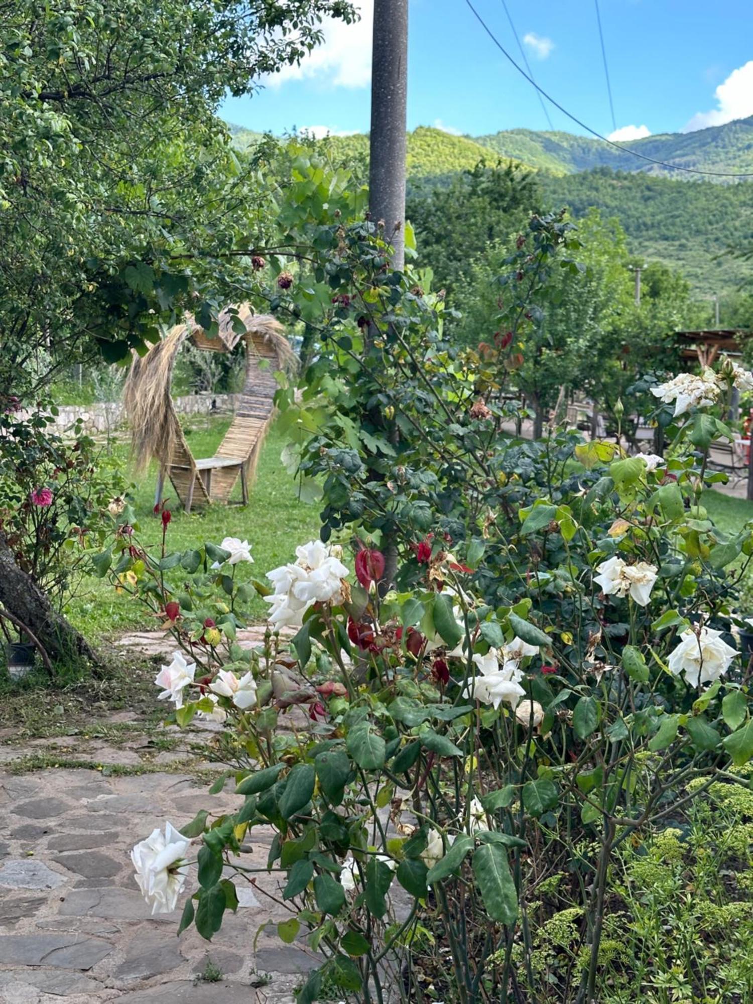 Vila Disha 地拉那 外观 照片