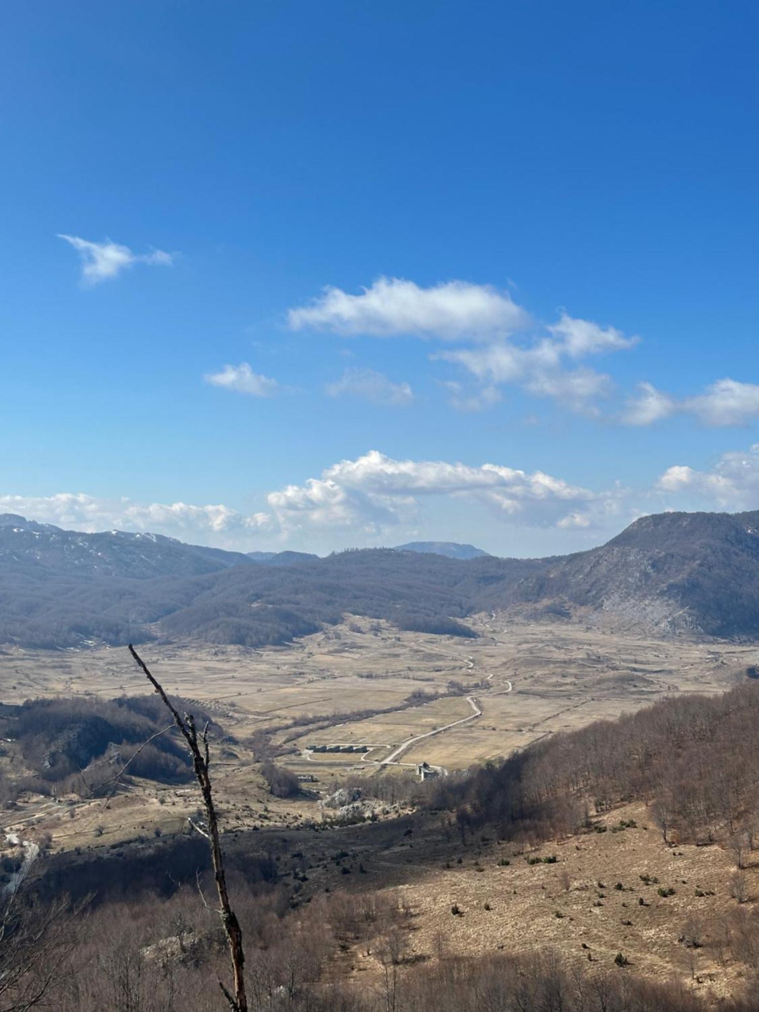 Vila Disha 地拉那 外观 照片